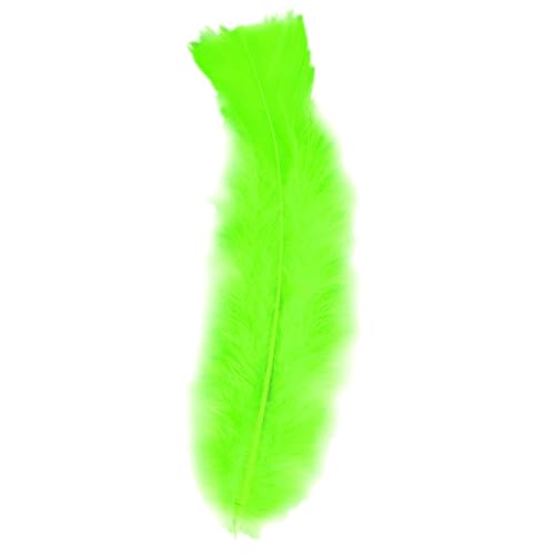 W WIDMANN MILANO Party Fashion - 50 Federn, Länge ca. 10 cm, Accessoire, Basteln, Indianer, Karneval, Mottoparty W WIDMANN MILANO Party Fashion - 50 Federn, Länge ca. 10 cm, Accessoire, Basteln, Indianer, Karneval, Mottoparty von W WIDMANN MILANO Party Fashion