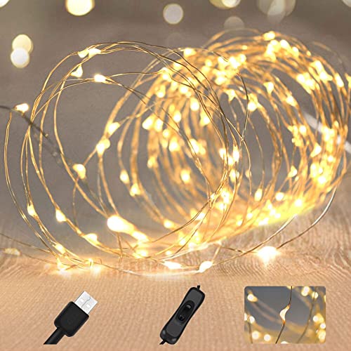WALCHO Lichterkette USB Powered, 120 LEDs 12m/39ft mit wasserdichten Lichterketten für Schlafzimmer Garten Hochzeit Weihnachten Outdoor & Indoor Dekoration-Warmweiß von WALCHO
