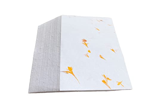 Wanderings Handgefertigte Weiße Papierkarten Mit Echten Blütenblättern Und Deckle-Kante - 10.5x15cm - Packung Mit 50 - Papier Für Ankündigungskarten, Einladungen, Bastelarbeiten - Dickes 150 gsm Wanderings Handgefertigte Weiße Papierkarten Mit Echten Blütenblättern Und Deckle-Kante - 10.5x15cm - Packung Mit 50 - Papier Für Ankündigungskarten, Einladungen, Bastelarbeiten - Dickes 150 gsm von WANDERINGS