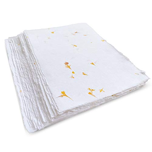 Wanderings Handgefertigte Weiße Papierkarten Mit Echten Blütenblättern Und Deckle-Kante - cm - Packung Mit 50 - Papier Für Ankündigungskarten, Einladungen, Bastelarbeiten - Dickes 150 gsm Wanderings Handgefertigte Weiße Papierkarten Mit Echten Blütenblättern Und Deckle-Kante - cm - Packung Mit 50 - Papier Für Ankündigungskarten, Einladungen, Bastelarbeiten - Dickes 150 gsm von WANDERINGS