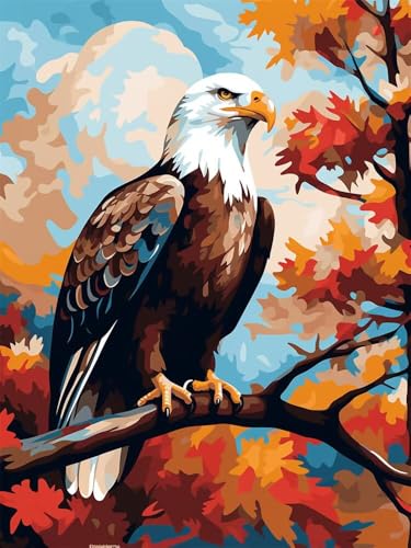 Diamond Painting Erwachsene Groß 30x40cm, 5D Diamond Painting Adler, DIY Diamant Painting Bilder Vögel, Diamond Painting Set mit Zubehör Full Drill Dimond Painting für Geschenk Home Wand Décor Diamond Painting Erwachsene Groß 30x40cm, 5D Diamond Painting Adler, DIY Diamant Painting Bilder Vögel, Diamond Painting Set mit Zubehör Full Drill Dimond Painting für Geschenk Home Wand Décor von WANGLLPGY
