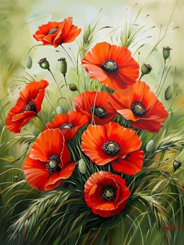 Diamond Painting Erwachsene Groß 30x40cm, 5D Diamond Painting Mohnblumen, DIY Diamant Painting Bilder Blume, Diamond Painting Set mit Zubehör Full Drill Dimond Painting für Geschenk Home Wand Décor von WANGLLPGY