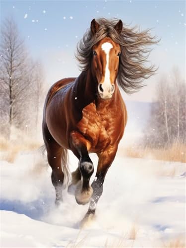 Diamond Painting Tiere 5D Diamond Painting Erwachsene Groß 60x80cm, DIY Diamant Painting Bilder Schnee-Pferd Bastelset Erwachsene, Dimond Painting Set für Home Wand Dekoration Geschenk -YZ836 Diamond Painting Tiere 5D Diamond Painting Erwachsene Groß 60x80cm, DIY Diamant Painting Bilder Schnee-Pferd Bastelset Erwachsene, Dimond Painting Set für Home Wand Dekoration Geschenk -YZ836 von WANGLLPGY