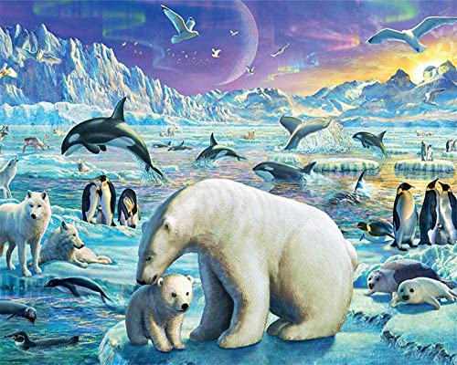 Malen nach Zahlen Kits für Erwachsene Kinder Anfänger Arktische Tier-Eisbär-Wolf-Pinguin-Siegel DIY Ölgemälde Einzigartiges Geschenk Vorgedruckte Leinwand Wanddekoration Kunst 40x50cm-mit Rahmen von WANGMAOMAO