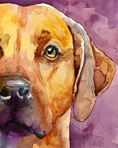 WANGMAOMAO Malen nach Zahlen Erwachsene Kinder Rhodesian Ridgeback 16 x 20 Zoll Leinen Segeltuch DIY ölgemälde Urlaub Handgemalte Geschenke Spielzeug malen Hauptdekoration -ohne Rahmen von WANGMAOMAO