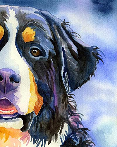 WANGMAOMAO Malen nach Zahlen für Erwachsene Kinder Berner Sennenhund Tierhund 16 x 20 Zoll Leinen Segeltuch DIY ölgemälde Handgemalte Geschenke Spielzeug Wand kunst Hauptdekoration -ohne Rahmen WANGMAOMAO Malen nach Zahlen für Erwachsene Kinder Berner Sennenhund Tierhund 16 x 20 Zoll Leinen Segeltuch DIY ölgemälde Handgemalte Geschenke Spielzeug Wand kunst Hauptdekoration -ohne Rahmen von WANGMAOMAO