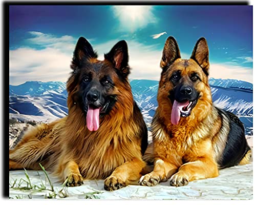 WANGMAOMAO Malen nach Zahlen für Erwachsene Kinder Deutscher Schäferhund 16x20 Zoll Leinen Leinwand Acryl DIY Number Painting Kits Wandkunst Dekor Geschenke -mit Rahmen WANGMAOMAO Malen nach Zahlen für Erwachsene Kinder Deutscher Schäferhund 16x20 Zoll Leinen Leinwand Acryl DIY Number Painting Kits Wandkunst Dekor Geschenke -mit Rahmen von WANGMAOMAO