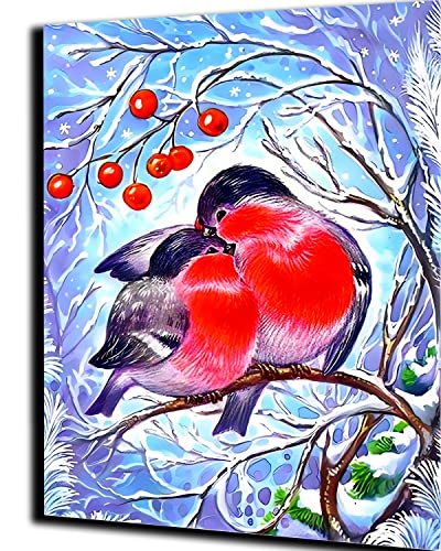 WANGMAOMAO Malen nach Zahlen für Erwachsene Kinder Zwei Liebesvögel Schneetier Diy Malen für Erwachsene Anfänger Level mit Pinseln und Acrylpigment 16x20 Zoll Home Dekorationen Geschenk -mit Rahmen von WANGMAOMAO