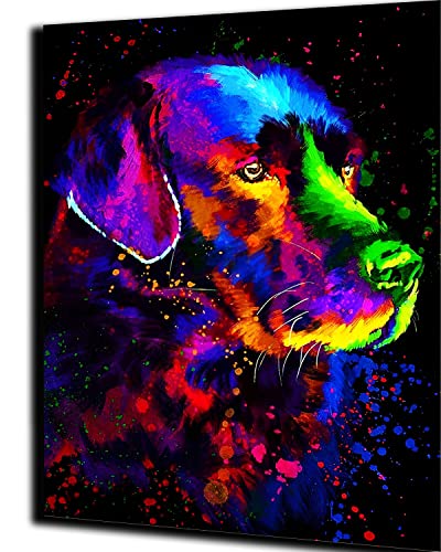 WANGMAOMAO Malen nach Zahlen für Erwachsene Kinder bunter hund labrador 16x20 Zoll Leinen Leinwand Acryl DIY Number Painting Kits Wandkunst Dekor Geschenke -mit Rahmen WANGMAOMAO Malen nach Zahlen für Erwachsene Kinder bunter hund labrador 16x20 Zoll Leinen Leinwand Acryl DIY Number Painting Kits Wandkunst Dekor Geschenke -mit Rahmen von WANGMAOMAO