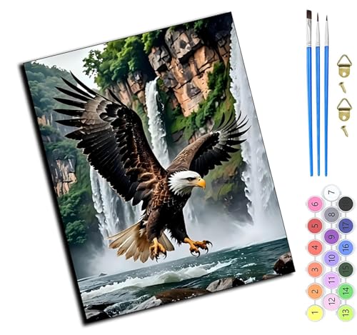 Malen Nach Zahlen Erwachsene,DIY Handgemalt Ölgemälde,mit Pinseln Malerei Kits Erwachsene Kunsthandwerk für Zuhause 40x50 cm,Fallender Adler,ohne Rahmen von WANGXIAO