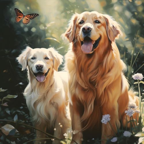 Malen Nach Zahlen Erwachsene,DIY Handgemalt Ölgemälde Kit,inklusive Pinsel und Acrylfarben,40x40 cm,zwei Golden Retriever Schmetterling und Blume,,Mit Rahmen Malen Nach Zahlen Erwachsene,DIY Handgemalt Ölgemälde Kit,inklusive Pinsel und Acrylfarben,40x40 cm,zwei Golden Retriever Schmetterling und Blume,,Mit Rahmen von WANGXIAO