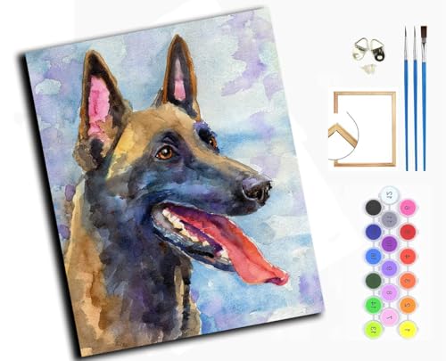 Malen Nach Zahlen Erwachsene,DIY Handgemalt Ölgemälde Kit,inklusive Pinsel und Acrylfarben,40x50 cm,Belgischer Malinois, Tierhund,mit Rahmen von WANGXIAO