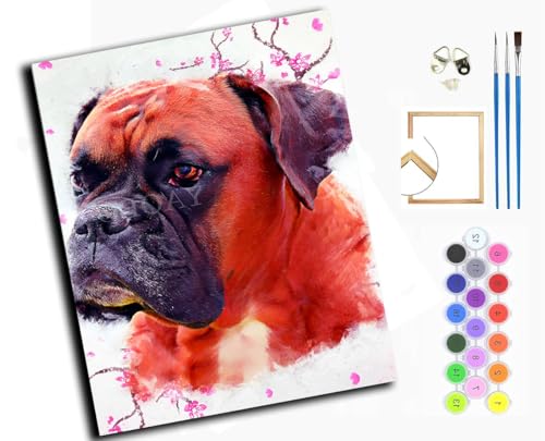 Malen Nach Zahlen Erwachsene,DIY Handgemalt Ölgemälde Kit,inklusive Pinsel und Acrylfarben,40x50 cm,Boxerhund Tier,mit Rahmen von WANGXIAO
