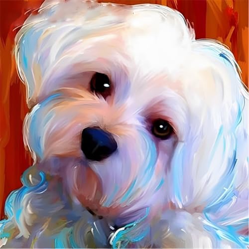 Malen Nach Zahlen Erwachsene,DIY mit Pinseln und Acrylfarben Handgemalt Ölgemälde Leinwand für Home Decor,(40x40cm),Weißer Tierhund，,Mit Rahmen von WANGXIAO