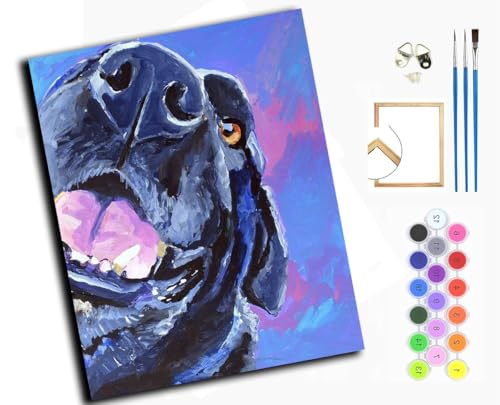 Malen Nach Zahlen Erwachsene,DIY mit Pinseln und Acrylfarben Handgemalt Ölgemälde Leinwand für Home Decor,(40x50cm),Schwarzer Labrador Retriever, Tierhund,mit Rahmen von WANGXIAO
