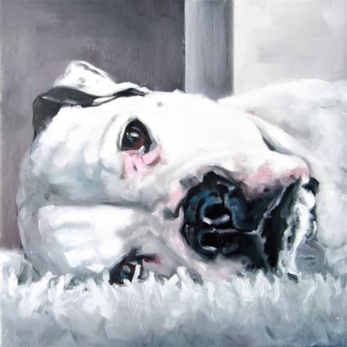 Malen Nach Zahlen Erwachsene,Paint by Numbers,DIY Handgemalt Ölgemälde Mit 3 Pinseln und Acrylfarbe leinwand Kit,40x40 cm,Faule englische Bulldogge，,Mit Rahmen von WANGXIAO