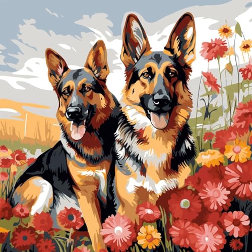 Malen Nach Zahlen Erwachsene,inklusive Pinsel und Acrylfarben,40x40cm,DIY Handgemalt Ölgemälde Kit,Bunte Blume zwei Deutscher Schäferhund，,Mit Rahmen von WANGXIAO