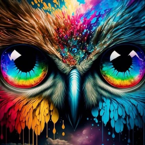 Malen Nach Zahlen Erwachsene,inklusive Pinsel und Acrylfarben,40x40cm,DIY Handgemalt Ölgemälde Kit,Eule Regenbogenaugen，,Mit Rahmen von WANGXIAO