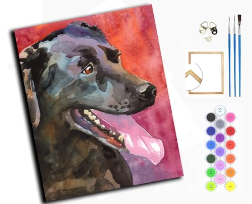 Malen Nach Zahlen Erwachsene,inklusive Pinsel und Acrylfarben,40x50cm,DIY Handgemalt Ölgemälde Kit,Schwarzer Labrador Retriever, Tierhund,mit Rahmen von WANGXIAO