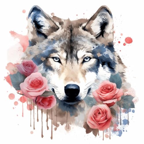 Malen Nach Zahlen Erwachsene 40x40cm,mit Pinsels und Acrylfarbe kit,DIY Handgemalt Ölgemälde für Geschenke und Wandbilder Wohnzimmer,Aquarell Wolf Rose amerikanische Flagge，,Mit Rahmen von WANGXIAO