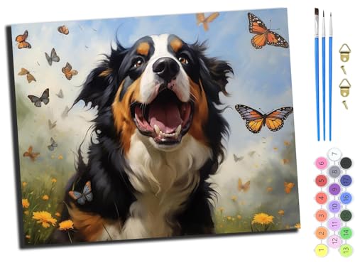 Malen nach Zahlen Erwachsene,DIY Bastelset Handgemalt Ölgemälde Geschen Kit Mit 3,Pinseln und Acrylfarbe knitterfreie leinwand Kit,40x50 cm,Schweizer Berner Sennenhund und Schmetterling,ohne Rahmen von WANGXIAO