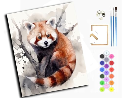 Malen nach Zahlen Erwachsene,DIY Bastelset Handgemalt Ölgemälde Kit Mit 3,Pinseln und Acrylfarbe leinwand Kit,Geschenkideen,40x50 cm,Aquarell Tier Waschbär,mit Rahmen von WANGXIAO