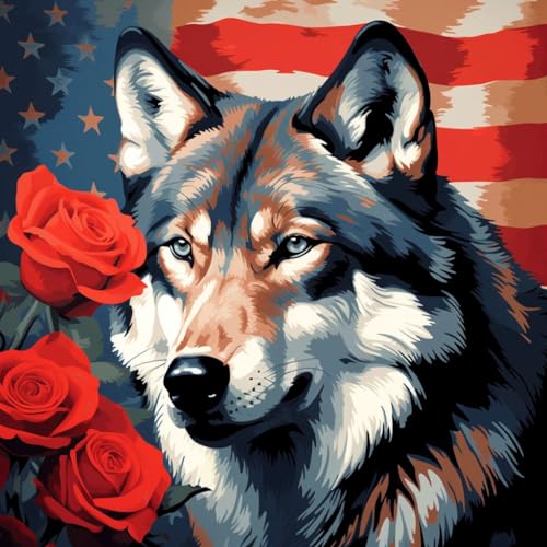 Malen nach Zahlen Erwachsene,DIY Handgemalt Ölgemälde Kit,40x40 cm, Mit 3 Pinseln und Acrylfarbe leinwand Kit,Wolf und rote Rose amerikanische Flagge，,Mit Rahmen von WANGXIAO