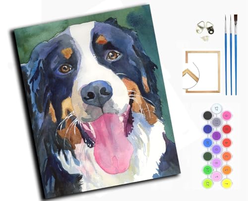 Malen nach Zahlen Erwachsene,DIY Handgemalt Ölgemälde Kit,40x50 cm,Paint by Numbers Adult Mit 3,Pinseln und Acrylfarbe leinwand Kit,Berner Sennenhund, Berner,mit Rahmen von WANGXIAO