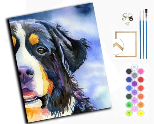 Malen nach Zahlen Erwachsene,DIY Handgemalt Ölgemälde Kit,Paint by Numbers Adult Mit 3,Pinseln und Acrylfarbe leinwand Kit,40x50 cm,Berner Sennenhund, Tierhund,mit Rahmen von WANGXIAO