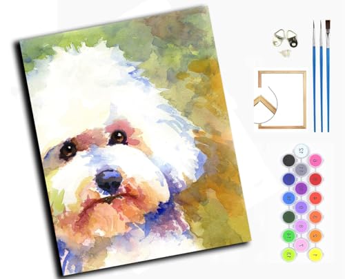 Malen nach Zahlen Erwachsene,DIY Handgemalt Ölgemälde Kit,Paint by Numbers Adult Mit 3,Pinseln und Acrylfarbe leinwand Kit,40x50 cm,BichFrise，Tier Hund,mit Rahmen von WANGXIAO