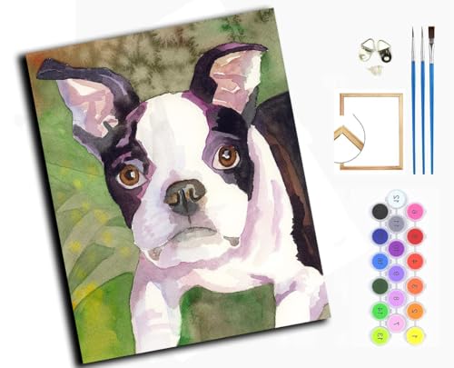 Malen nach Zahlen Erwachsene,Paint by Numbers,DIY Handgemalt Ölgemälde Mit 3,Pinseln und Acrylfarbe knitterfreie leinwand Kit,40x50 cm,BostTerrier, Tierhund,mit Rahmen von WANGXIAO