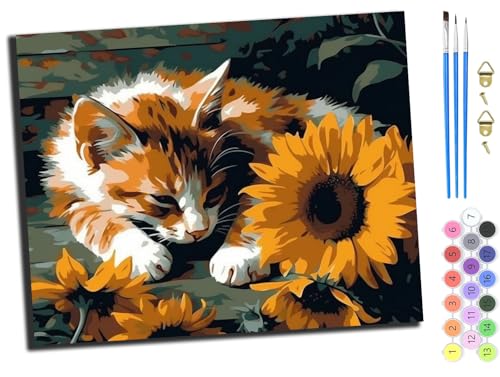 WANGXIAO Art Malen Nach Zahlen Erwachsene,Diy Handgemalt Ölgemälde Leinwand Set für Home Haus Deko,(40x50cm),Tier Katze Sonnenblume,mit Rahmen von WANGXIAO