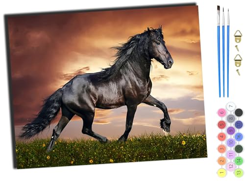 WANGXIAO Art Malen Nach Zahlen Erwachsene,Diy Handgemalt Ölgemälde Leinwand Set für Home Haus Deko,(40x50cm),Tier Pferd,mit Rahmen von WANGXIAO