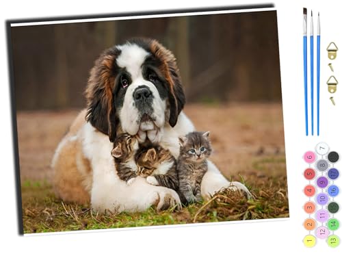 WANGXIAO Art Malen Nach Zahlen Erwachsene,Diy Handgemalt Ölgemälde Leinwand Set für Home Haus Deko,(40x50cm),Tiere Hunde und Katzen Tiere süß,mit Rahmen von WANGXIAO