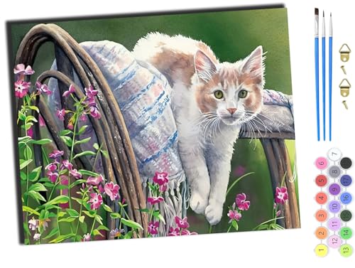 WANGXIAO Art Malen Nach Zahlen Erwachsene,Diy Handgemalt Ölgemälde Leinwand Set für Home Haus Deko,(40x50cm),Tiere kleine weiße Katze süß,mit Rahmen von WANGXIAO