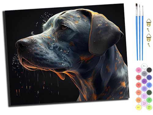 WANGXIAO DIY Ölgemälde Malen nach Zahlen Erwachsene Kinder,40x50cm Handgemalte Geschenke Zahlenmalerei ab 5 Öl Wandkunst Haus Dekoration malen，Tier Hund Labrador Retriever,mit Rahmen von WANGXIAO