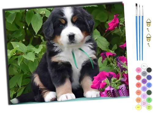 WANGXIAO DIY Ölgemälde Malen nach Zahlen Erwachsene Kinder,40x50cm Handgemalte Geschenke Zahlenmalerei ab 5 Öl Wandkunst Haus Dekoration malen,Tiere, Hunde und Blumen lustig,mit Rahmen WANGXIAO DIY Ölgemälde Malen nach Zahlen Erwachsene Kinder,40x50cm Handgemalte Geschenke Zahlenmalerei ab 5 Öl Wandkunst Haus Dekoration malen,Tiere, Hunde und Blumen lustig,mit Rahmen von WANGXIAO