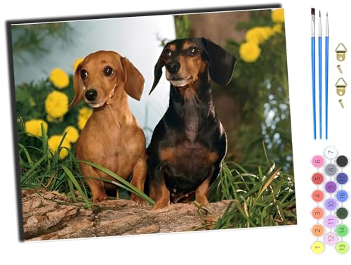WANGXIAO DIY Ölgemälde Malen nach Zahlen Erwachsene Kinder,40x50cm Handgemalte Geschenke Zahlenmalerei ab 5 Öl Wandkunst Haus Dekoration malen,Tiere Hund Blumen Interessant,mit Rahmen WANGXIAO DIY Ölgemälde Malen nach Zahlen Erwachsene Kinder,40x50cm Handgemalte Geschenke Zahlenmalerei ab 5 Öl Wandkunst Haus Dekoration malen,Tiere Hund Blumen Interessant,mit Rahmen von WANGXIAO