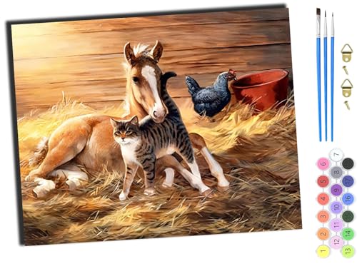 WANGXIAO Malen Nach Zahlen,DIY Handgemalt Ölgemälde,3 Pinseln und Vorgedruckt Leinwand,Ölgemälde,Festival Geschenk Home Deko,40x50cm,Tiere Pferd Hund,mit Rahmen WANGXIAO Malen Nach Zahlen,DIY Handgemalt Ölgemälde,3 Pinseln und Vorgedruckt Leinwand,Ölgemälde,Festival Geschenk Home Deko,40x50cm,Tiere Pferd Hund,mit Rahmen von WANGXIAO