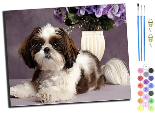 WANGXIAO Malen Nach Zahlen Erwachsene,DIY Handgemalt Ölgemälde,mit Pinseln Malerei Kits Erwachsene Kunsthandwerk für Zuhause 40x50 cm,Tier Hund,mit Rahmen WANGXIAO Malen Nach Zahlen Erwachsene,DIY Handgemalt Ölgemälde,mit Pinseln Malerei Kits Erwachsene Kunsthandwerk für Zuhause 40x50 cm,Tier Hund,mit Rahmen von WANGXIAO