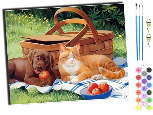 WANGXIAO Malen Nach Zahlen Erwachsene,DIY Handgemalt Ölgemälde,mit Pinseln Malerei Kits Erwachsene Kunsthandwerk für Zuhause 40x50 cm,Tier Hund Katze Apfel,mit Rahmen WANGXIAO Malen Nach Zahlen Erwachsene,DIY Handgemalt Ölgemälde,mit Pinseln Malerei Kits Erwachsene Kunsthandwerk für Zuhause 40x50 cm,Tier Hund Katze Apfel,mit Rahmen von WANGXIAO