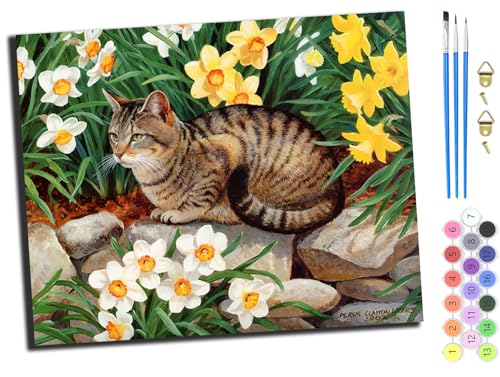 WANGXIAO Malen Nach Zahlen Erwachsene,DIY Handgemalt Ölgemälde,mit Pinseln Malerei Kits Erwachsene Kunsthandwerk für Zuhause 40x50 cm,Tier Katze süß,mit Rahmen WANGXIAO Malen Nach Zahlen Erwachsene,DIY Handgemalt Ölgemälde,mit Pinseln Malerei Kits Erwachsene Kunsthandwerk für Zuhause 40x50 cm,Tier Katze süß,mit Rahmen von WANGXIAO