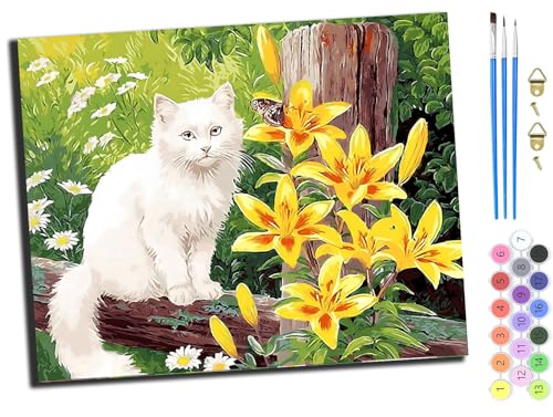 WANGXIAO Malen Nach Zahlen Erwachsene,DIY Handgemalt Ölgemälde,mit Pinseln Malerei Kits Erwachsene Kunsthandwerk für Zuhause 40x50 cm,Tier Katze weiß,mit Rahmen WANGXIAO Malen Nach Zahlen Erwachsene,DIY Handgemalt Ölgemälde,mit Pinseln Malerei Kits Erwachsene Kunsthandwerk für Zuhause 40x50 cm,Tier Katze weiß,mit Rahmen von WANGXIAO