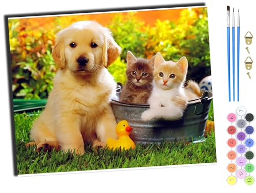 WANGXIAO Malen Nach Zahlen Erwachsene,DIY Handgemalt Ölgemälde,mit Pinseln Malerei Kits Erwachsene Kunsthandwerk für Zuhause 40x50 cm,Tiere Hunde und Katzen,mit Rahmen WANGXIAO Malen Nach Zahlen Erwachsene,DIY Handgemalt Ölgemälde,mit Pinseln Malerei Kits Erwachsene Kunsthandwerk für Zuhause 40x50 cm,Tiere Hunde und Katzen,mit Rahmen von WANGXIAO