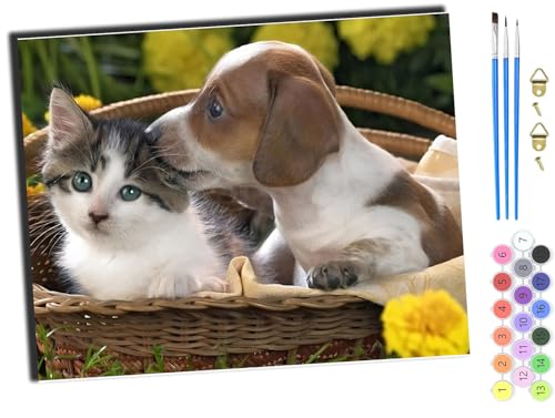 WANGXIAO Malen Nach Zahlen Erwachsene,DIY Handgemalt Ölgemälde,mit Pinseln Malerei Kits Erwachsene Kunsthandwerk für Zuhause 40x50 cm,Tiere Hunde und Katzen,mit Rahmen WANGXIAO Malen Nach Zahlen Erwachsene,DIY Handgemalt Ölgemälde,mit Pinseln Malerei Kits Erwachsene Kunsthandwerk für Zuhause 40x50 cm,Tiere Hunde und Katzen,mit Rahmen von WANGXIAO