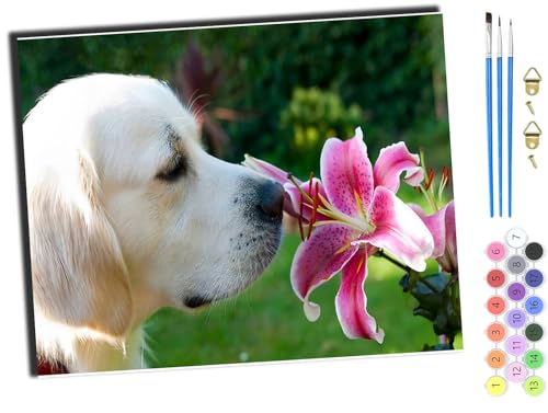 WANGXIAO Malen Nach Zahlen Erwachsene,DIY Handgemalt Ölgemälde,mit Pinseln Malerei Kits Erwachsene Kunsthandwerk für Zuhause 40x50 cm,Weißer Tierhund und Blumen,ohne Rahmen von WANGXIAO