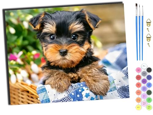 WANGXIAO Malen Nach Zahlen Erwachsene,DIY Handgemalt Ölgemälde Kit,Anfänger Kreativ Bastelset für Erwachsene und Mädchen Geschenk,16x20 inch,Niedlich, Tier, Hund, Junge,mit Rahmen WANGXIAO Malen Nach Zahlen Erwachsene,DIY Handgemalt Ölgemälde Kit,Anfänger Kreativ Bastelset für Erwachsene und Mädchen Geschenk,16x20 inch,Niedlich, Tier, Hund, Junge,mit Rahmen von WANGXIAO
