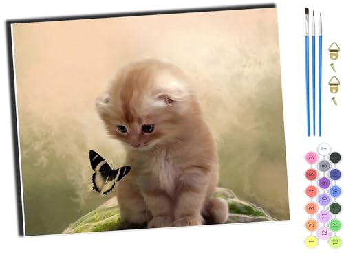 WANGXIAO Malen Nach Zahlen Erwachsene,DIY Handgemalt Ölgemälde Kit,Anfänger Kreativ Bastelset für Erwachsene und Mädchen Geschenk,16x20 inch,Tier Katze,mit Rahmen von WANGXIAO