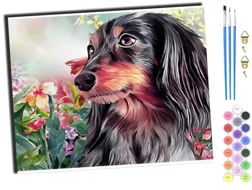 WANGXIAO Malen Nach Zahlen Erwachsene,DIY Handgemalt Ölgemälde Kit,inklusive Pinsel und Acrylfarben,40x50 cm,Tier Hund Blumen,mit Rahmen von WANGXIAO