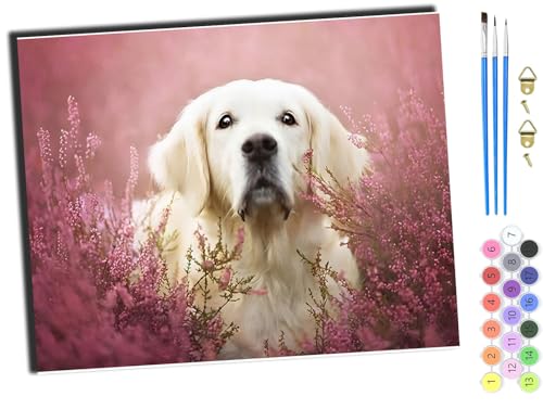 WANGXIAO Malen Nach Zahlen Erwachsene,DIY Handgemalt Ölgemälde Kit,inklusive Pinsel und Acrylfarben,40x50 cm,Tier Hund und Blumen,mit Rahmen von WANGXIAO